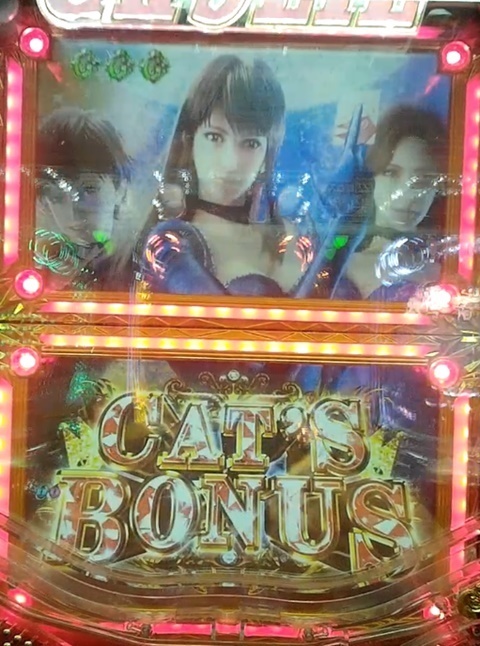 キャッツアイ2.jpg