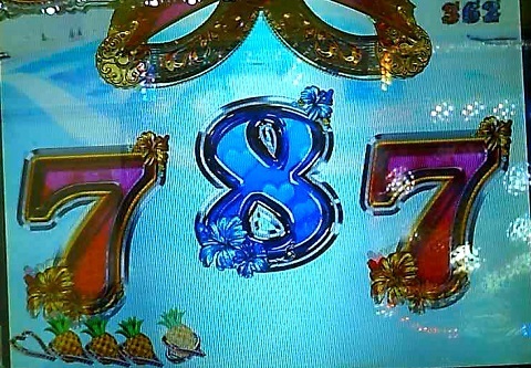 ジューシーハニー11.jpg