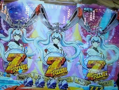 ナデシコ10.jpg